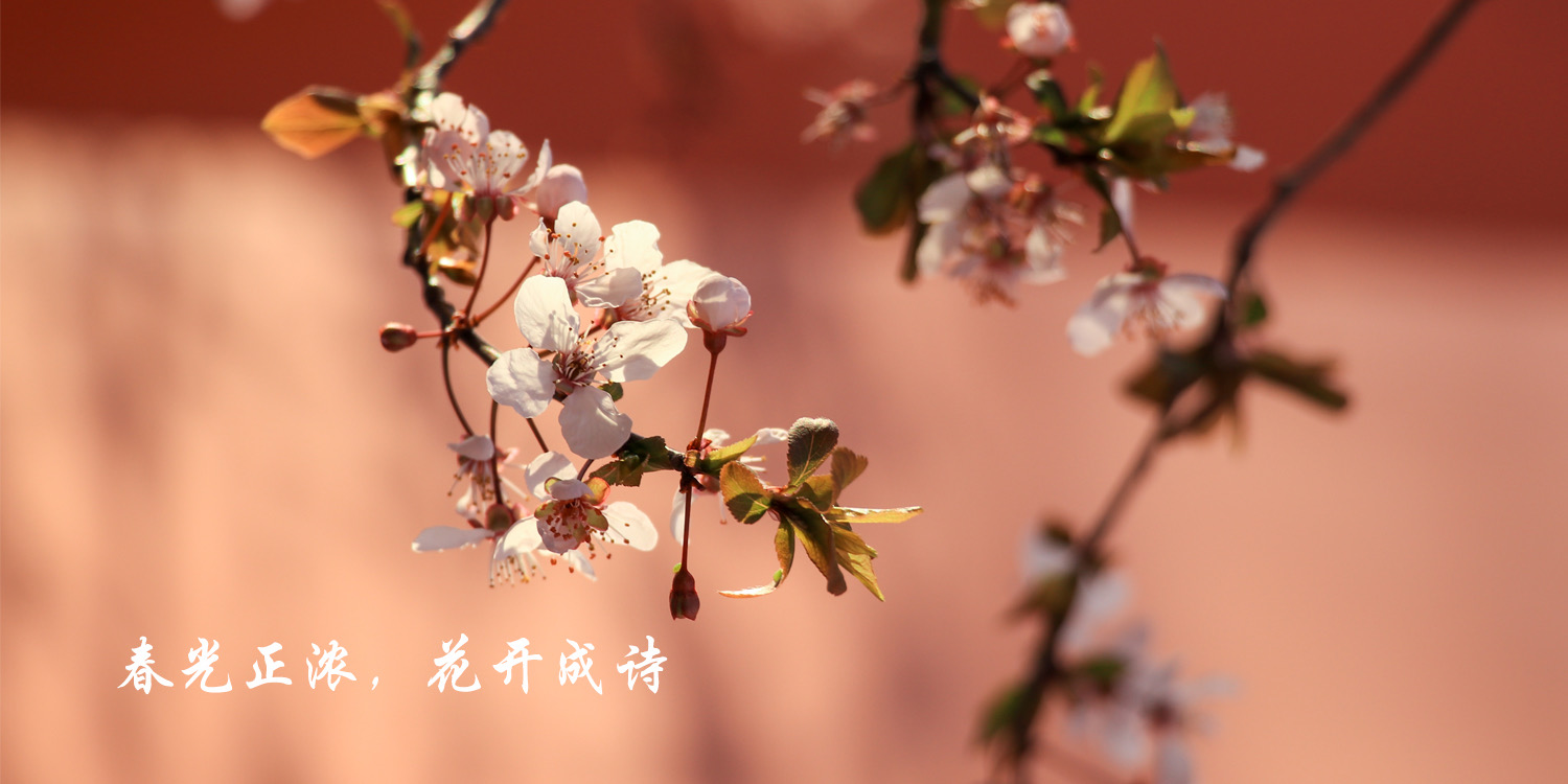 QY千亿球友会